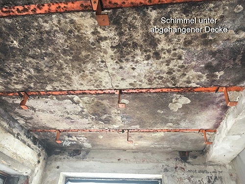 Schimmel unter abgehangender Decke | Niemeyer Sachverständigenbüro Schimmel unter abgehangender Decke
